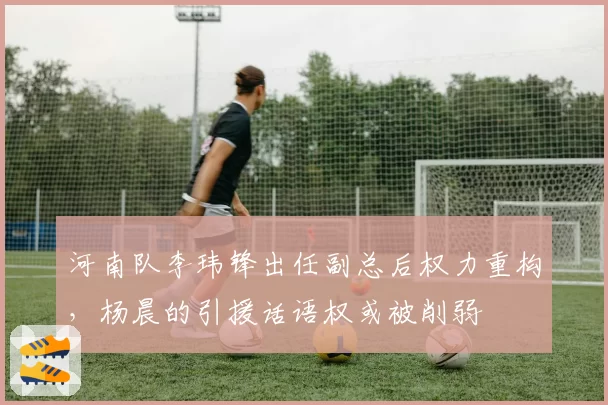 河南队李玮锋出任副总后权力重构，杨晨的引援话语权或被削弱