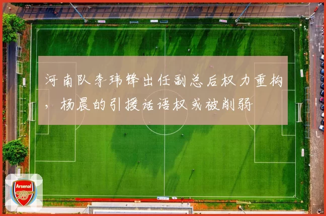 河南队李玮锋出任副总后权力重构，杨晨的引援话语权或被削弱