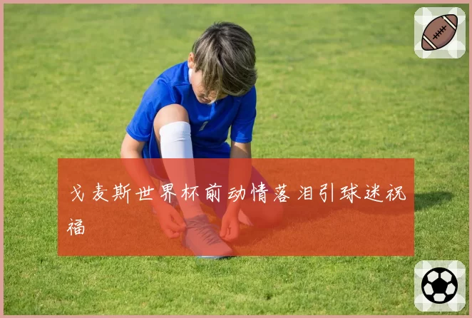 戈麦斯世界杯前动情落泪引球迷祝福