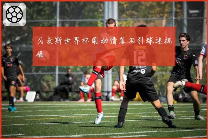 戈麦斯世界杯前动情落泪引球迷祝福